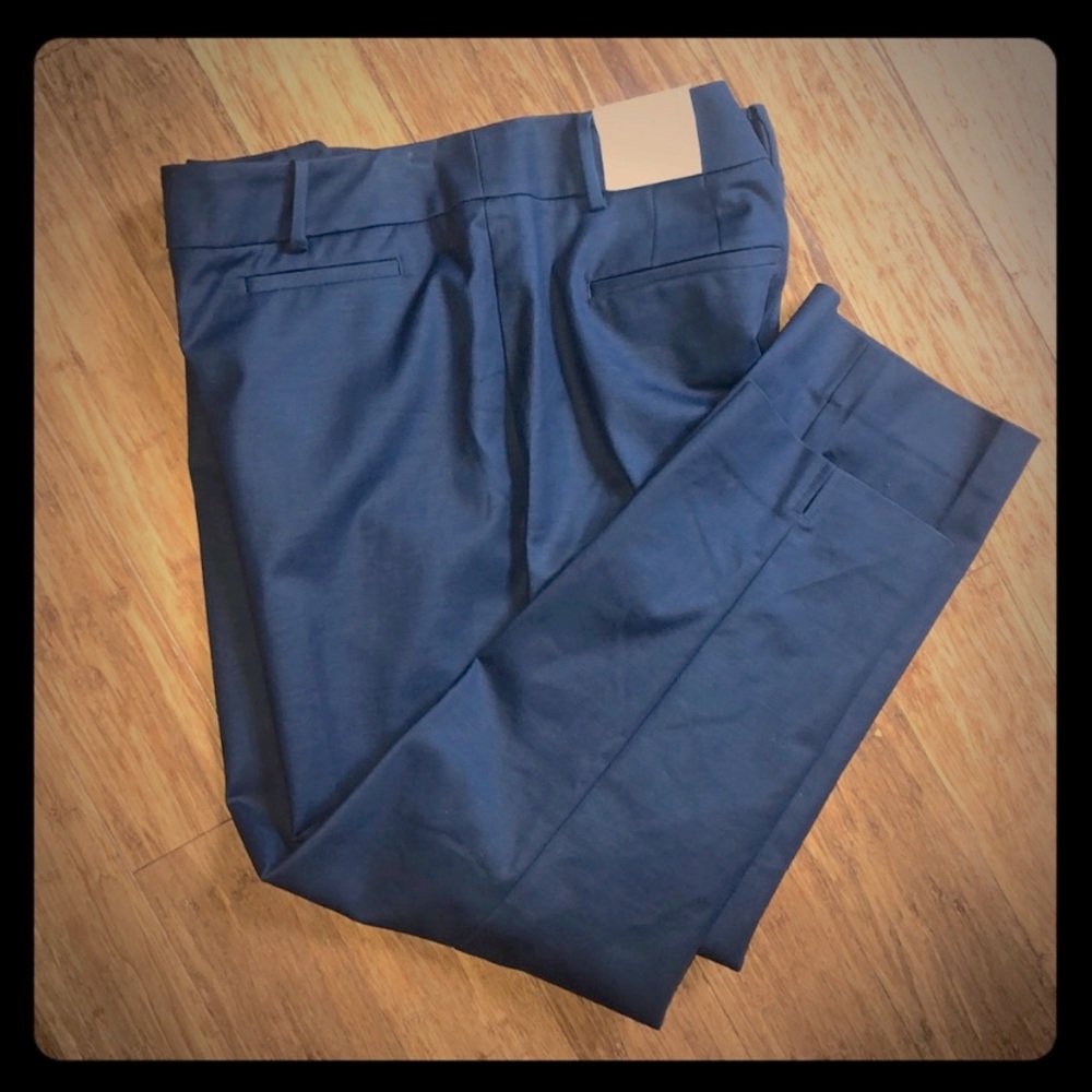 NWT Ann Taylor Loft Cropped Julie Fit Sz 14